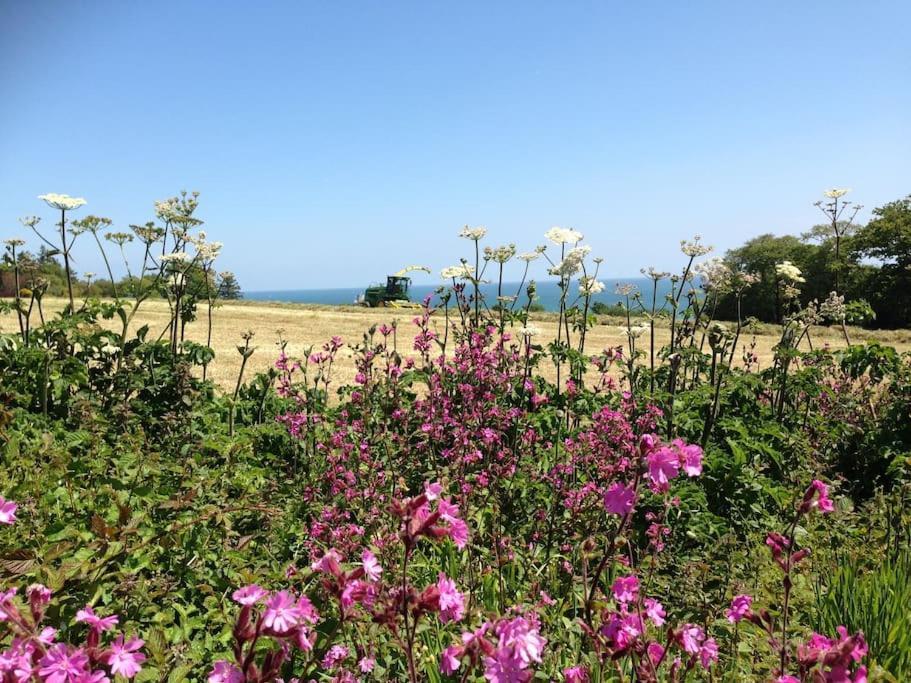 Little Bream - Pretty Cosy Cottage, Sea Views, Walk To The Beach Mawnan Smith Εξωτερικό φωτογραφία