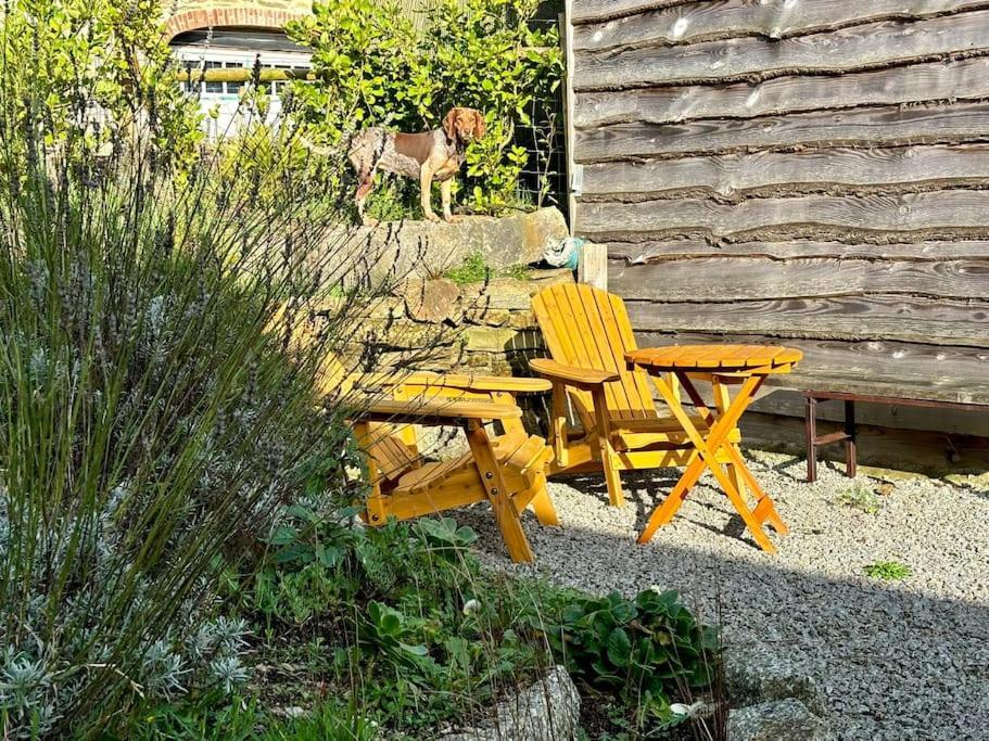 Little Bream - Pretty Cosy Cottage, Sea Views, Walk To The Beach Mawnan Smith Εξωτερικό φωτογραφία